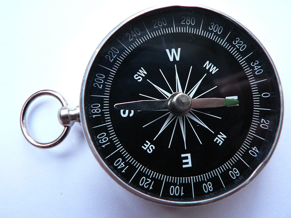Temporal Compass